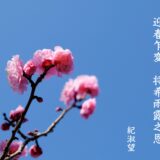 逐吹潜開 不待芳菲之候 迎春乍変 将希雨露之恩【紀淑望】