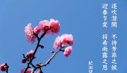 逐吹潜開 不待芳菲之候 迎春乍変 将希雨露之恩【紀淑望】